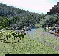 Timbertops - Horse Riding - Maitland Accommodation