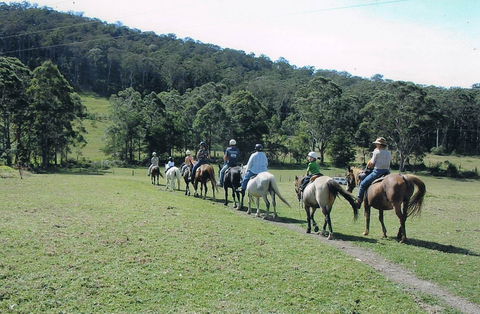 Timbertops - Horse Riding - Maitland Accommodation 0