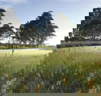 Twin Creeks Golf and Country Club - Maitland Accommodation