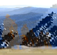 Victoria's High Country - Maitland Accommodation