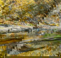 Warrabah National Park - Maitland Accommodation