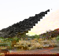 Whyalla Conservation Park - Maitland Accommodation