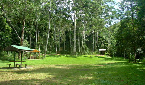 Woolgoolga Creek Picnic Area - Maitland Accommodation 0