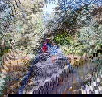 Yea Wetlands Walk - Maitland Accommodation