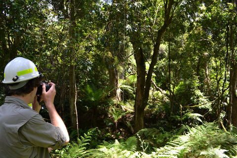Alfred National Park - Maitland Accommodation 0