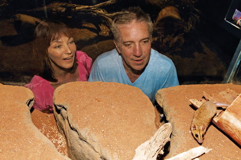 At The Creek Visitor Information Centre - Maitland Accommodation 0