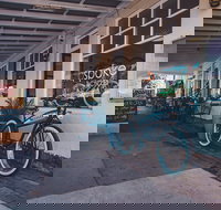 Attack of the Buns - Maitland Accommodation