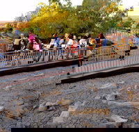 Australian Age of Dinosaurs - Maitland Accommodation