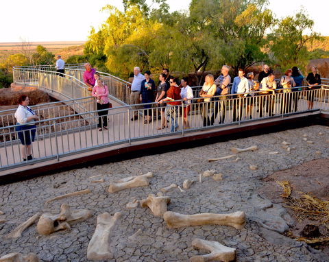 Australian Age Of Dinosaurs - Maitland Accommodation 0