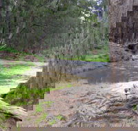Bangadilly National Park - Maitland Accommodation