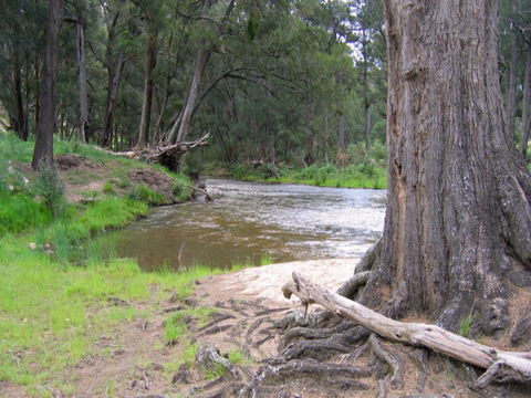 Bangadilly National Park - Maitland Accommodation 0