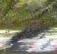 Berry Springs - Maitland Accommodation