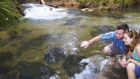 Berry Springs - Maitland Accommodation 1