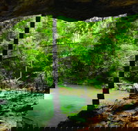 Buderim - Maitland Accommodation