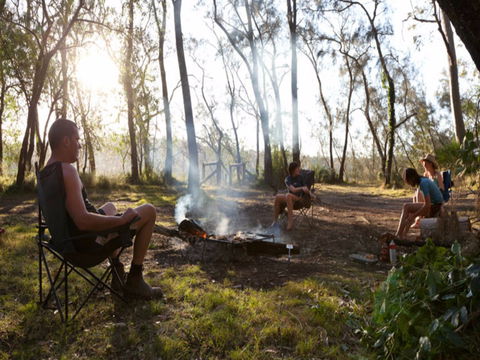 Clyde River National Park - Maitland Accommodation 1