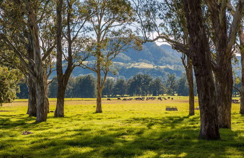 Coast To The Highlands Scenic Drive – Kangaroo Valley - Maitland Accommodation 0