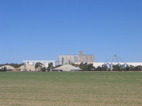 Co-operative Bulk Handling (CBH) Wheat Storage And Transfer Depot - Maitland Accommodation 1