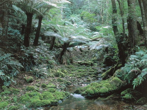 Corn Trail - Maitland Accommodation 0