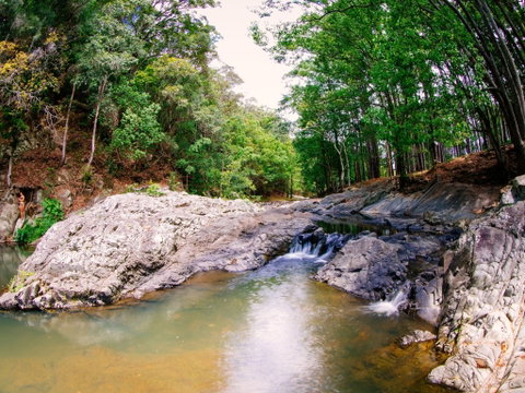 Currumbin Rock Pools - Maitland Accommodation 0