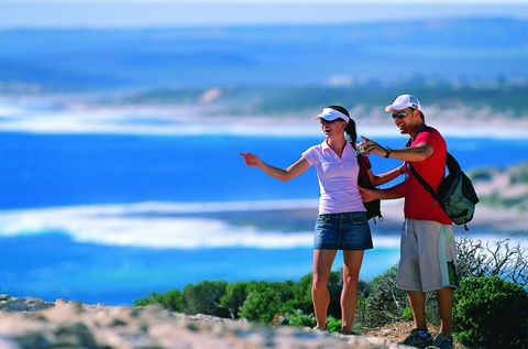 Eagle Gorge - Maitland Accommodation 1