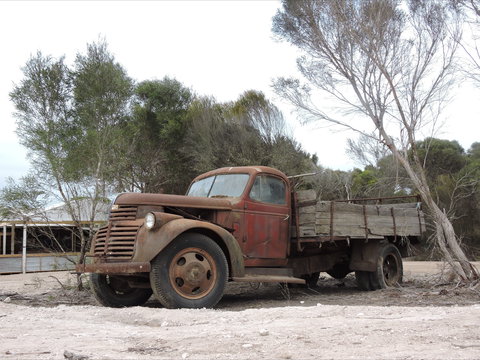 Emu Ridge Eucalyptus Pty Ltd - Maitland Accommodation 2