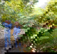 Endeavour Fern Gully Walks - Maitland Accommodation