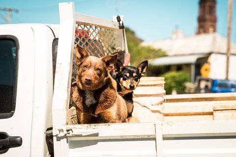 Harden Murrumburrah - Maitland Accommodation 0