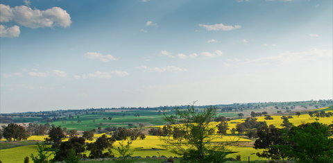 Harden Murrumburrah - Maitland Accommodation 1