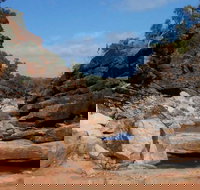 Homestead Gorge trail - Maitland Accommodation