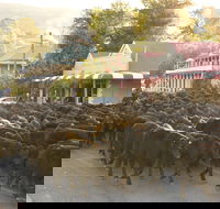 Jugiong - Maitland Accommodation