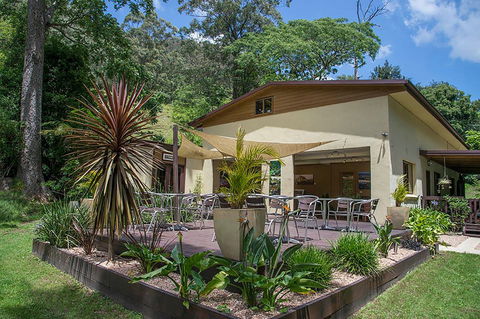 Kramer Photography Rainforest Gallery - Maitland Accommodation 2