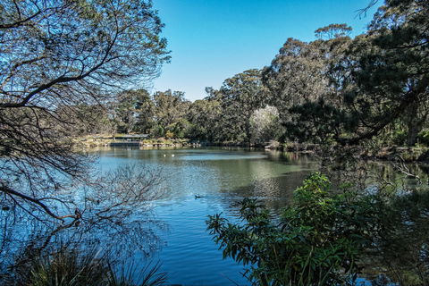 Lake Alexandra Reserve - Maitland Accommodation 1