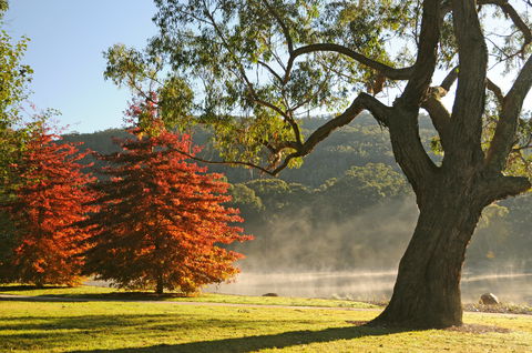 Lake Alexandra Reserve - Maitland Accommodation 2