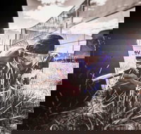 Luddenham Raceway Paintball - Maitland Accommodation