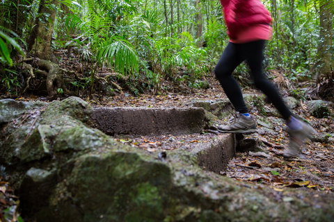 Maiala - Maitland Accommodation 0