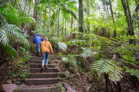 Maiala - Maitland Accommodation 1