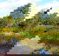 Mansfield Mullum Wetlands - Maitland Accommodation