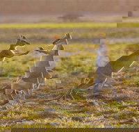 Mary River Area - Maitland Accommodation