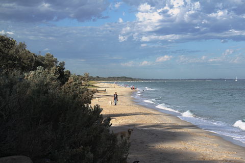 McCrae Beach - Maitland Accommodation 1