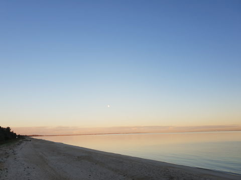 McCrae Beach - Maitland Accommodation 2