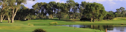 Meadow Springs Golf And Country Club - Maitland Accommodation 0