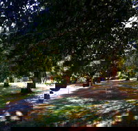 Mirimbah Park - Maitland Accommodation