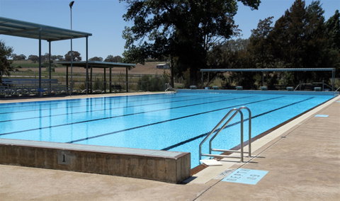 Molong Swimming Pool - Maitland Accommodation 2