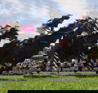 Moruya Racecourse - Maitland Accommodation