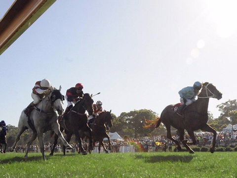 Moruya Racecourse - Maitland Accommodation 1