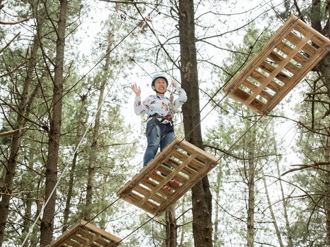 Mount Lofty Adventure Hub - Maitland Accommodation 2