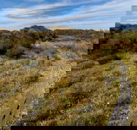Murramarang Aboriginal Area Walking Track - Maitland Accommodation