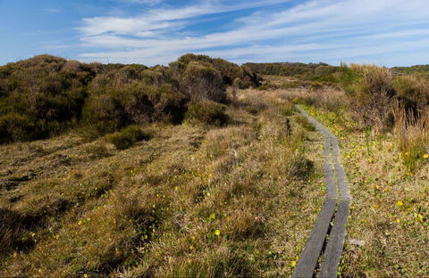Murramarang Aboriginal Area Walking Track - Maitland Accommodation 0