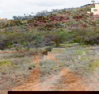 Original Glen Helen Homestead - Maitland Accommodation