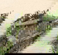 Pebbly Beach to Snake Bay walking track - Maitland Accommodation